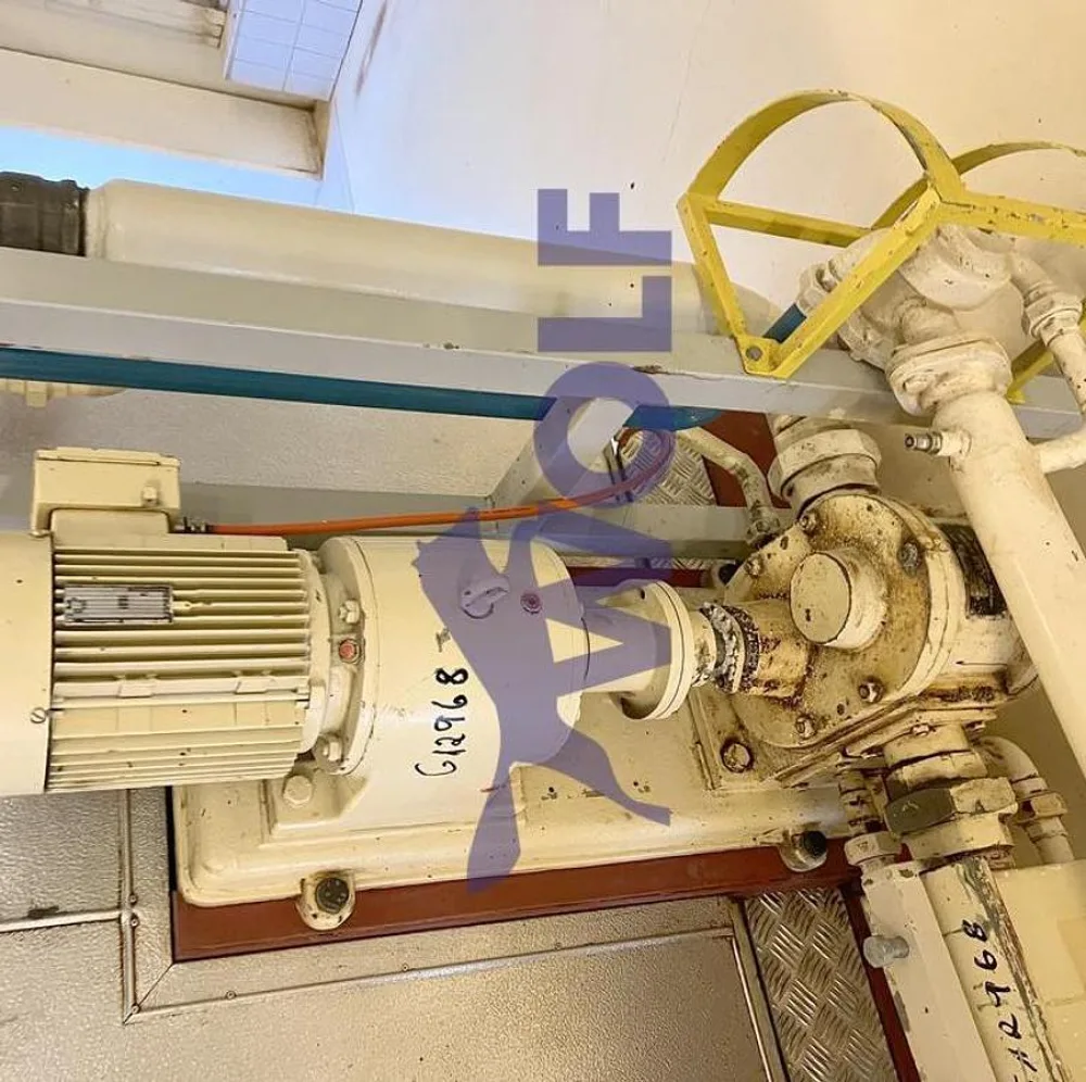 Zahnrad-Massepumpe THOUET - Type ZP-63/5-S, ca. 4.300 Liter pro Stunde.