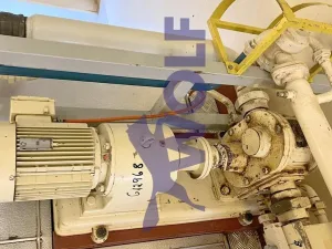 Zahnrad-Massepumpe THOUET - Type ZP-63/5-S, ca. 4.300 Liter pro Stunde.