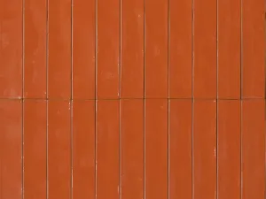 Liv 10MM Terra tegel 30x5.3 cm