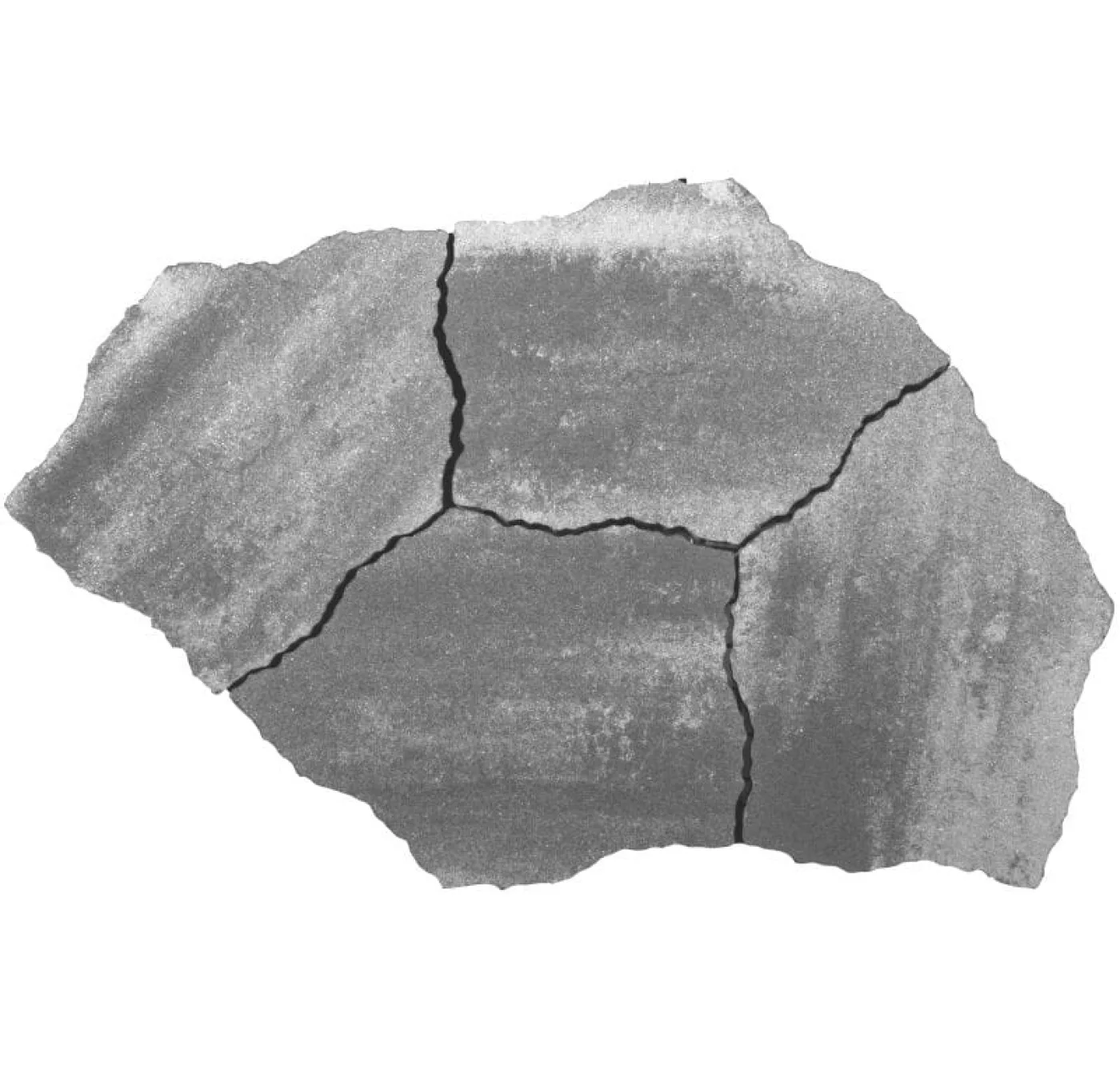 GeoArdesia Alivo Elba - 1