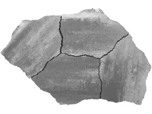 GeoArdesia Alivo Elba