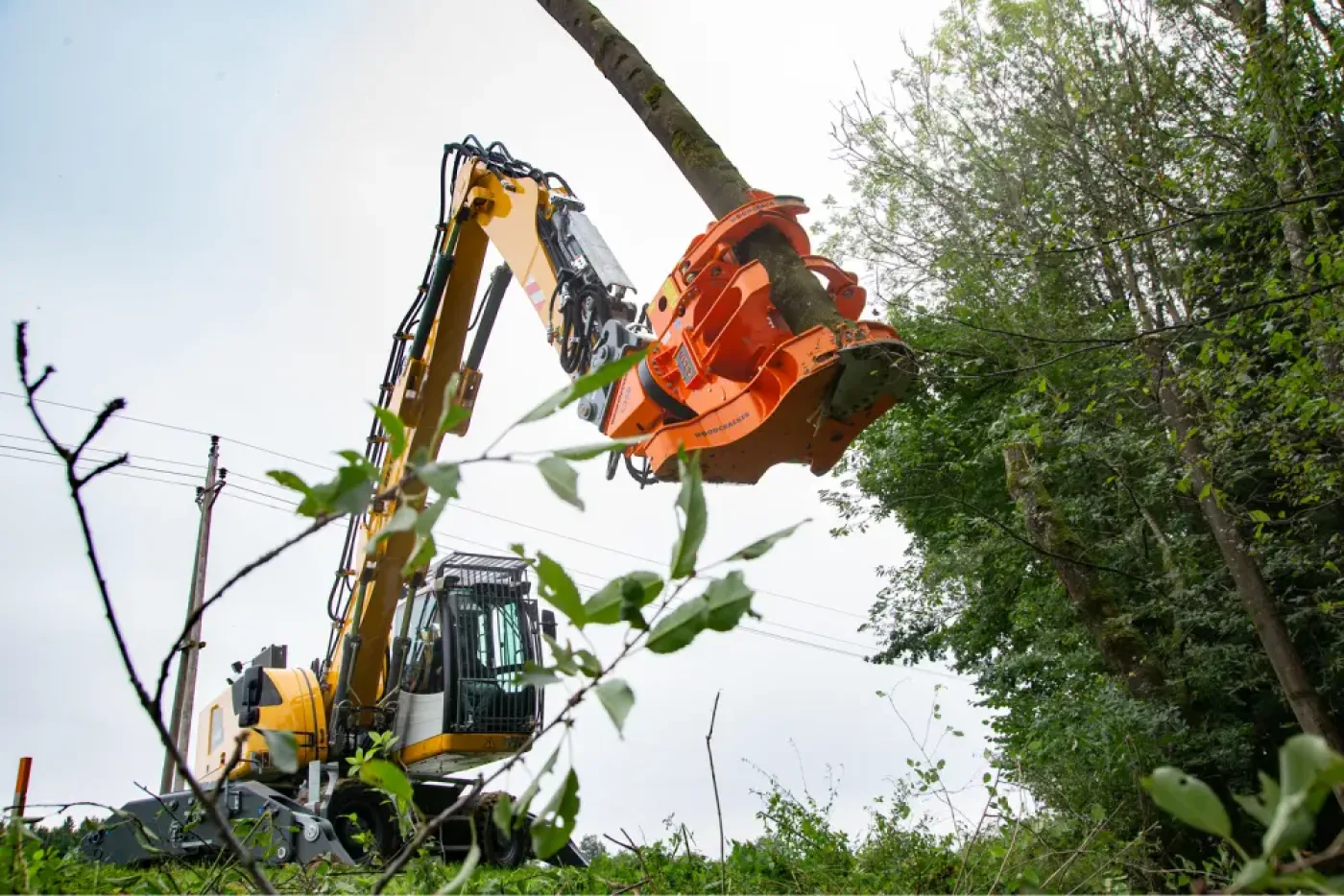 Westtech - Woodcracker C 350 - 5