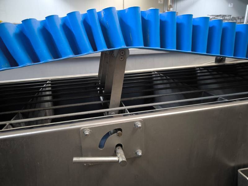 Paunch conveyor