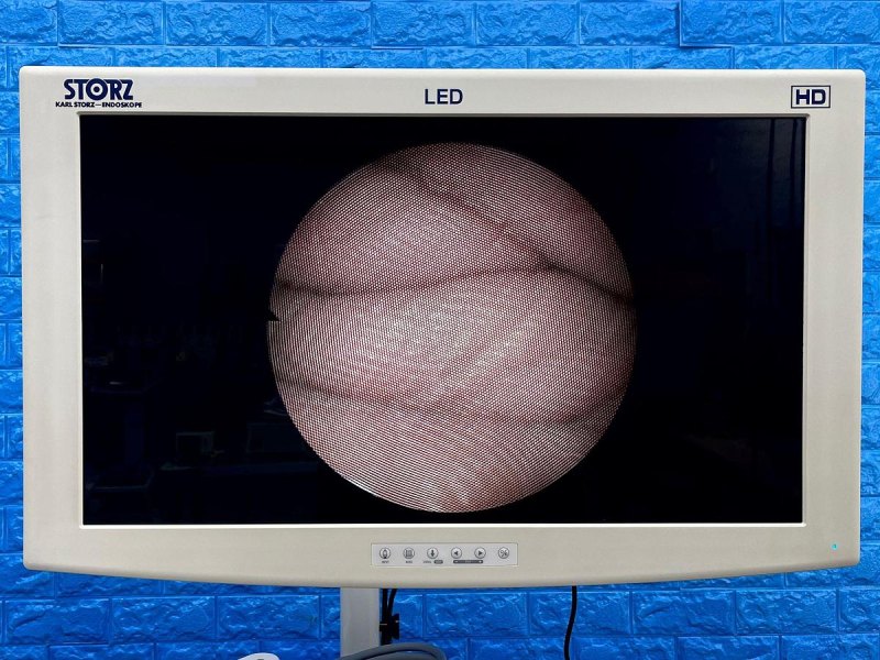Karl Storz 11272 C1 Cysto-Urethro-Fiberscope