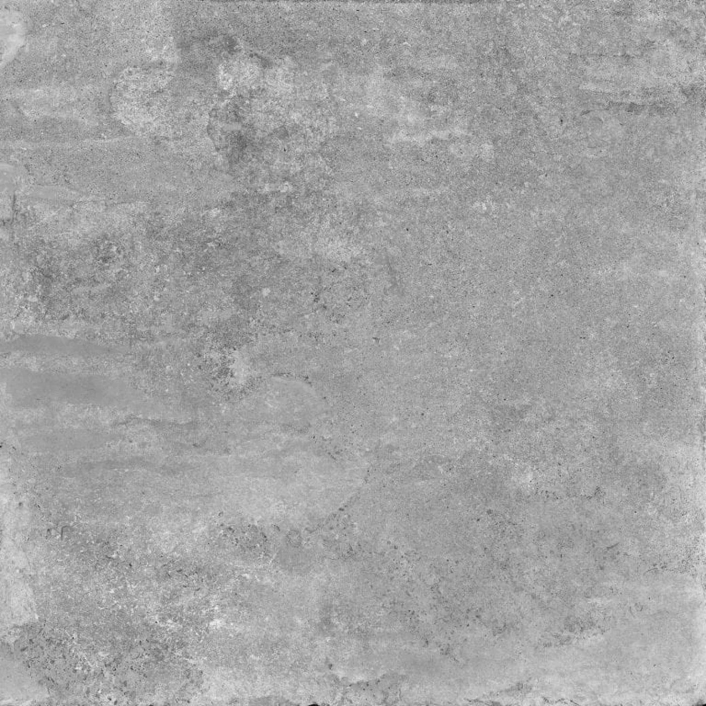Venosa 10MM Cham - 1