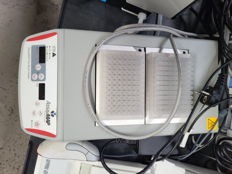 New arrival AssayMAP dry block heater
