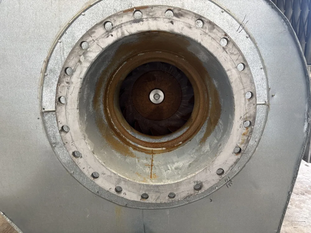 Bühler OTW300 (static) - Fluid bed dryer continuous