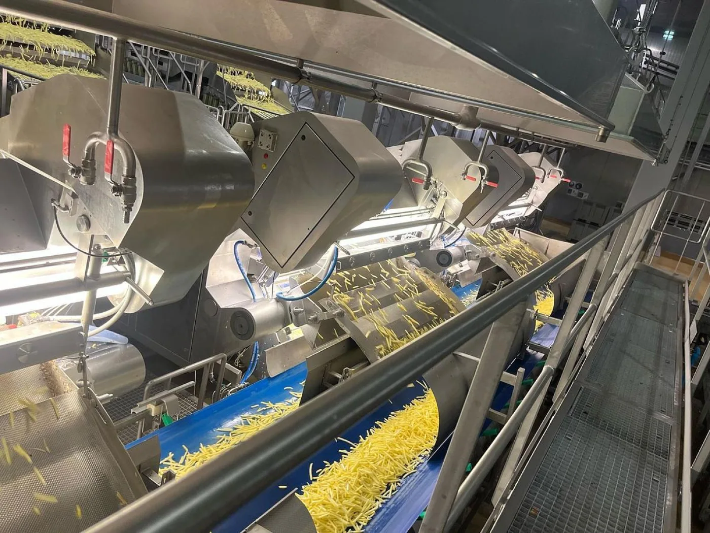 - Complete sorteerlijn voor productie van French Fries - 2