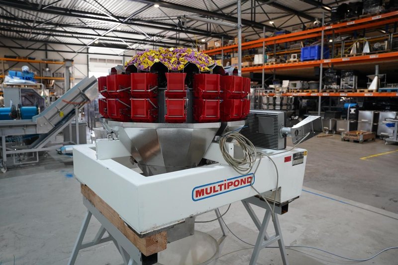 1996 Multipond multiheadweger