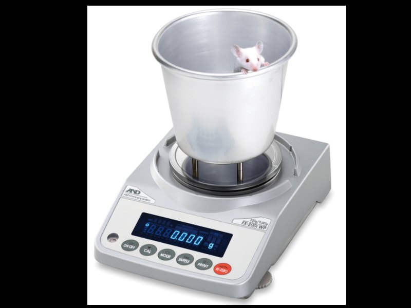 A&D FX-300i-WP Precision 3-Place Balance