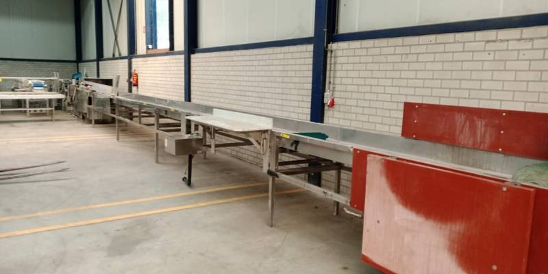 Paunch conveyor belt