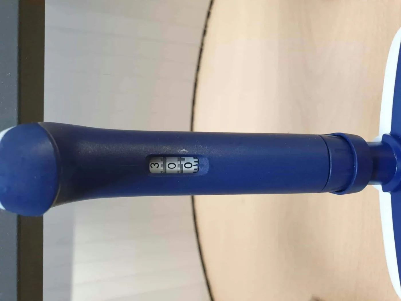 Rainin Pipet-Lite L12-300XLS+ Meerkanaals Pipet - 1