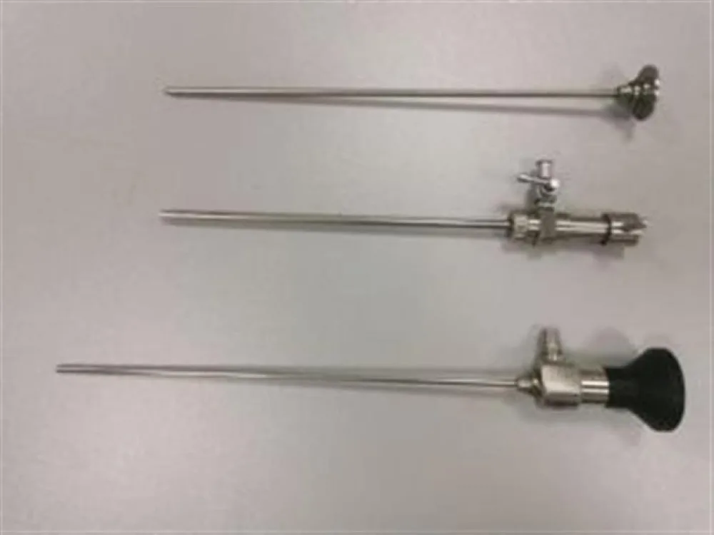 Rigid with sheath - 0°