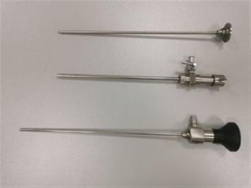 Rigid with sheath - 0°