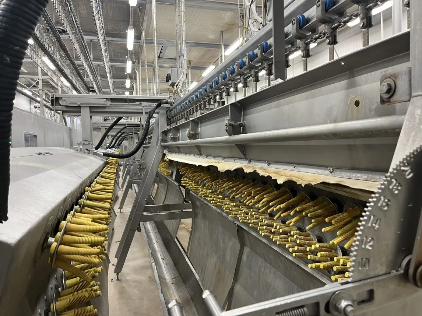 Poultry line, Stork, 10.000 bph - 7