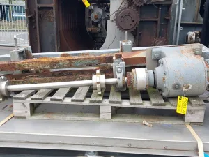 Dehairing conveyor belt