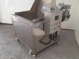 Electric Deep Fryer