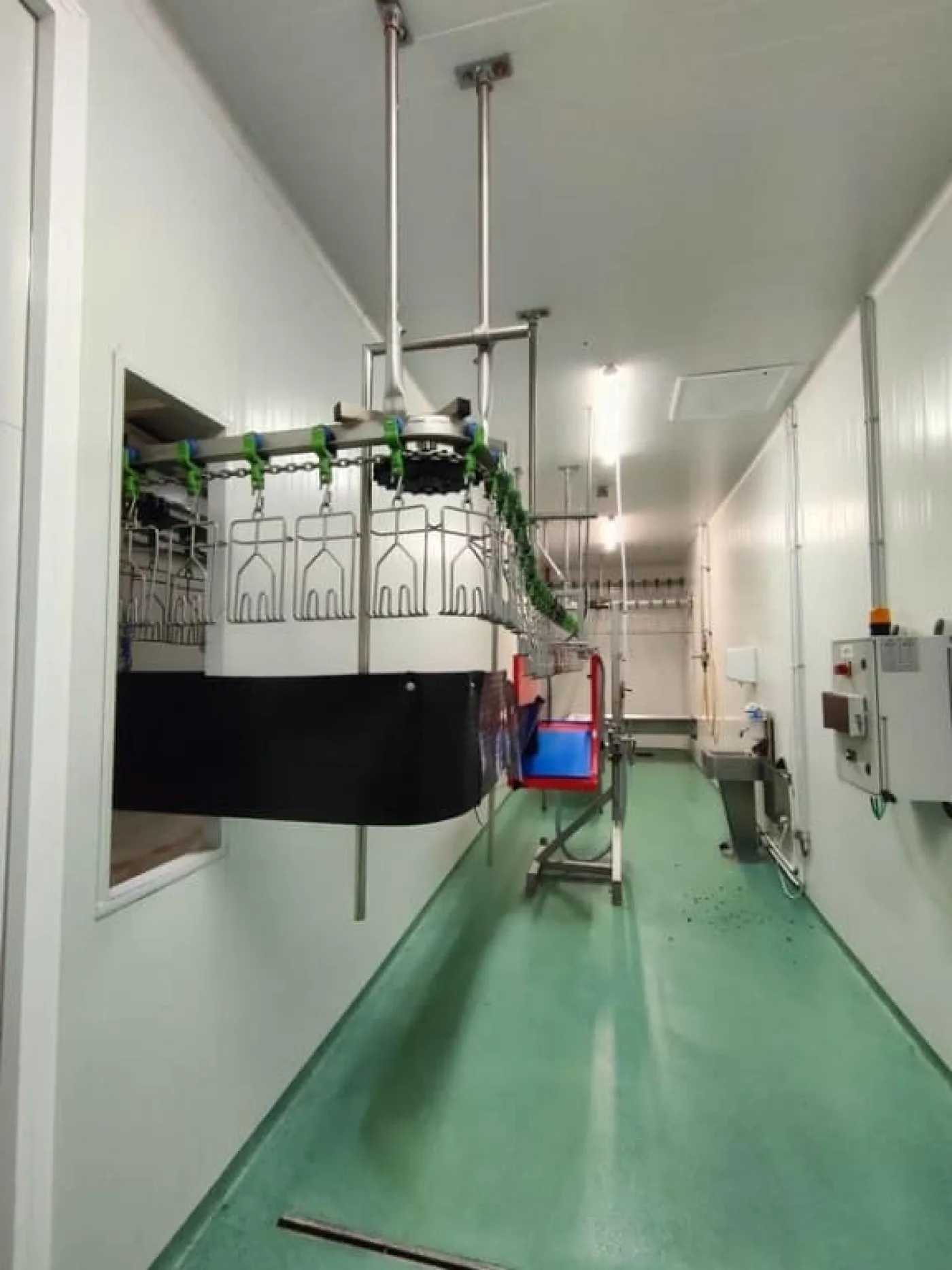 Poultry line, Bayle, 1.500 bph - 4
