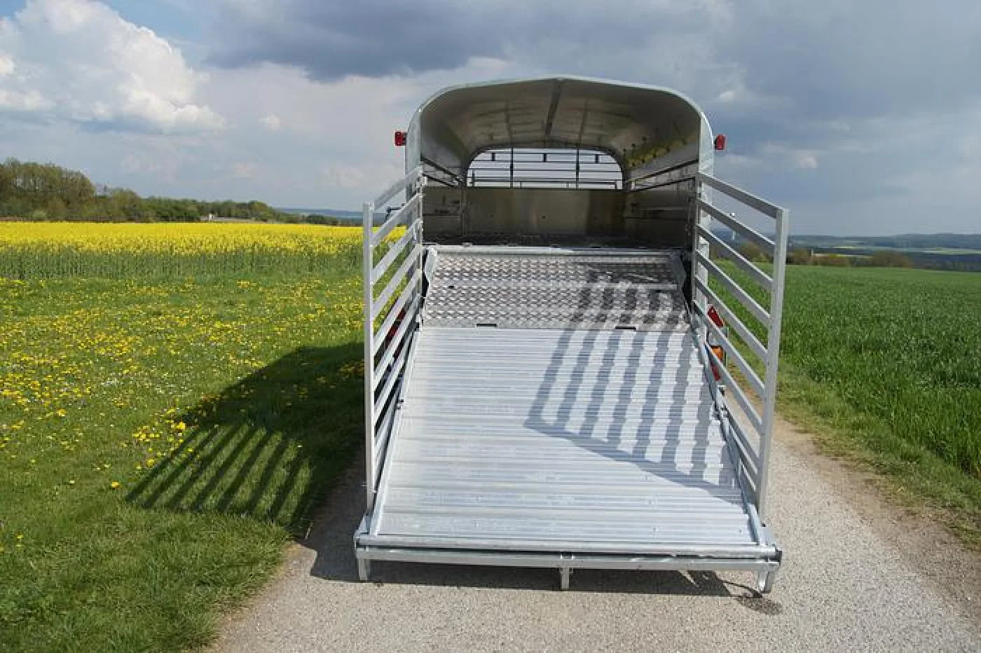 Nugent LS4318T Schafdeck - im Zulauf - 2