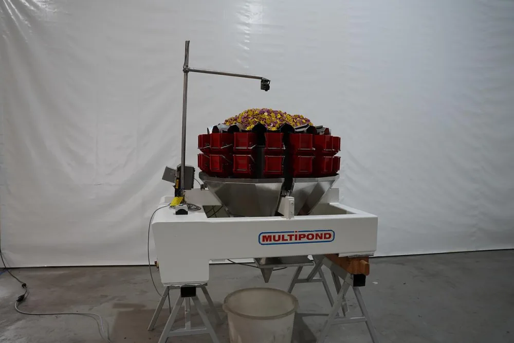 1996 Multipond multiheadweger