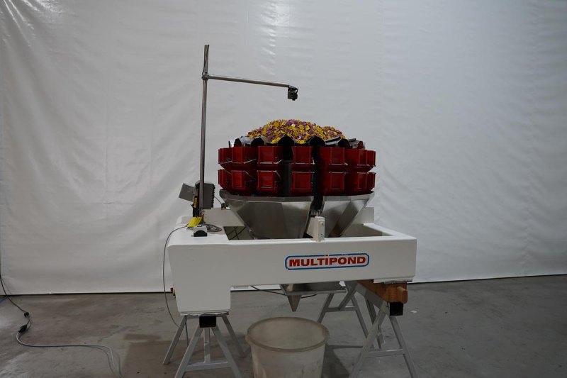 1996 Multipond multiheadweger