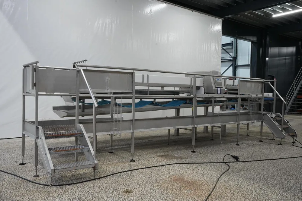 2009 Loma/Boldt transportband met metaaldetector op bordes