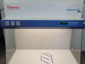 Thermo Scientific Heraguard ECO 1.2 Laminar Flow Clean Bench