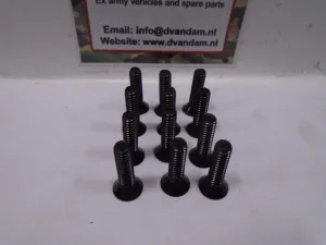 Remtrommel schroef ( 12 stuks )