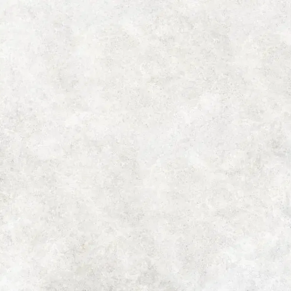 Coquille 10MM Perle mat