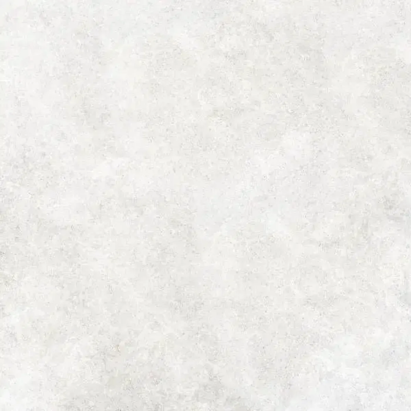 Coquille 10MM Perle mat - 1