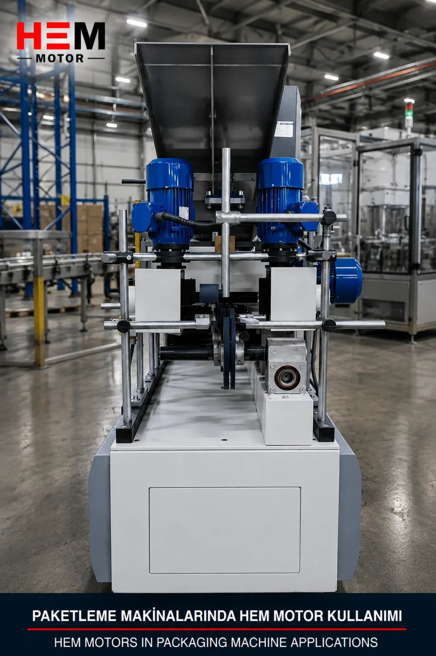 Packaging Machinery Electric Motors - 1