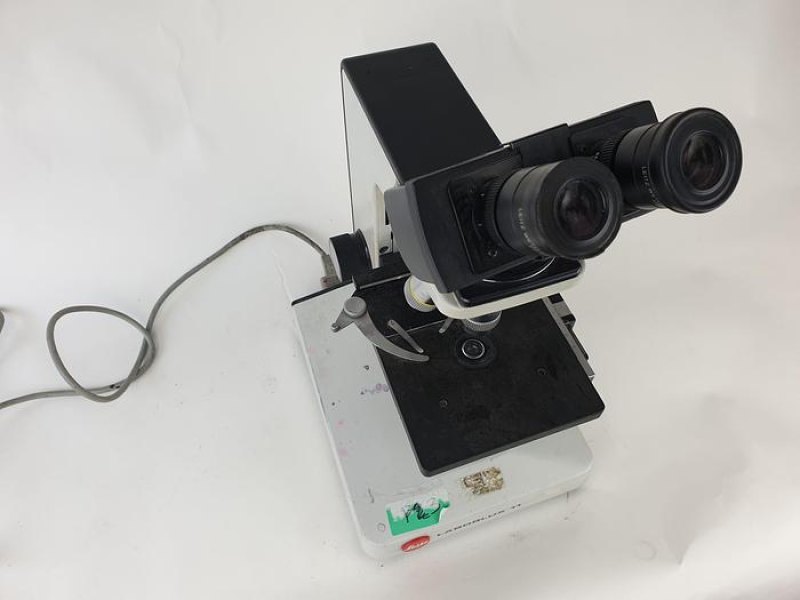Ernst Leitz Wetzlar Laborlux 11 Microscope Microscope