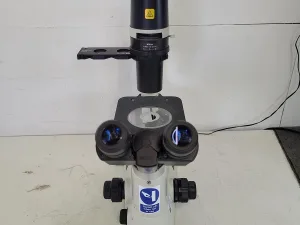 Nikon Eclipse TS100 Inverted Routine Microscope