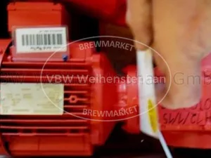 gear motor