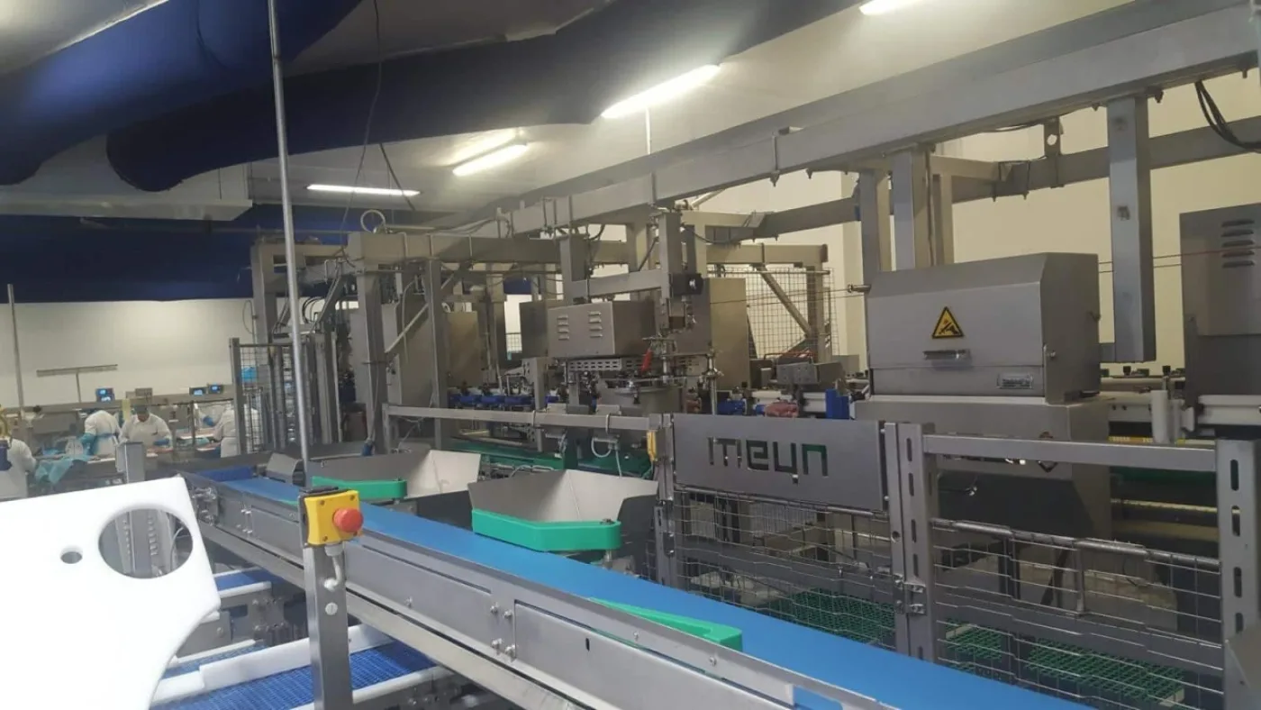 Breast Cap Filleting machine, Meyn, Rapid - 2