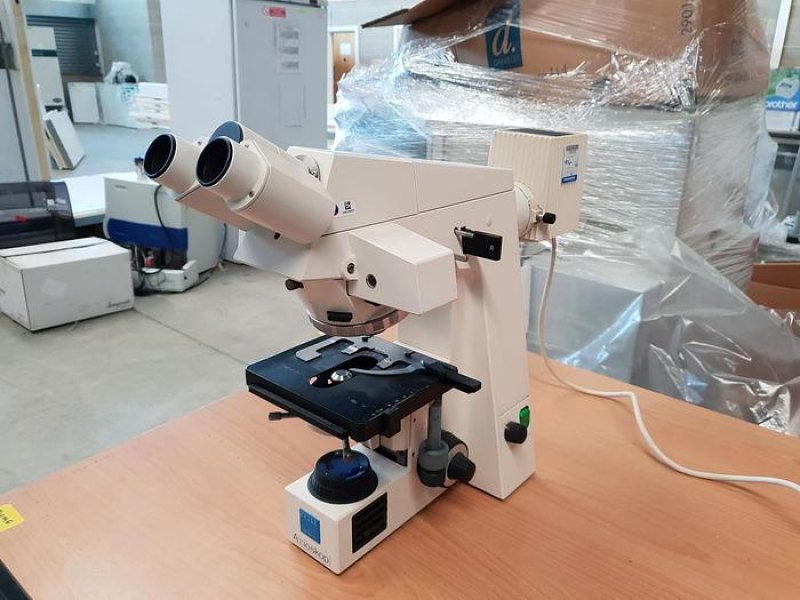 Zeiss Axioskop Microscope