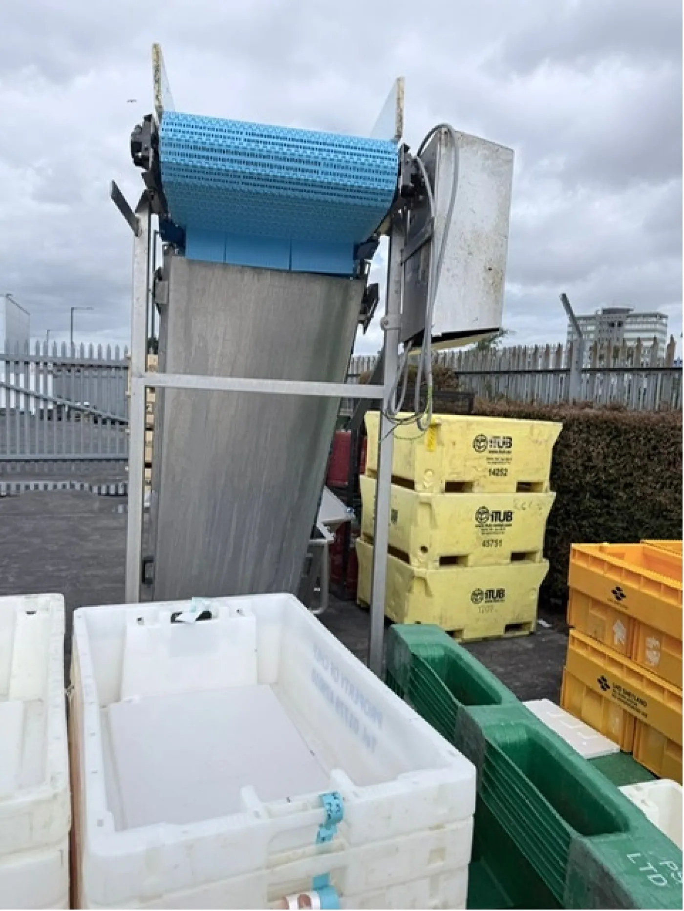 Large Incline Conveyor with Bulk Tank Hopper - 2
