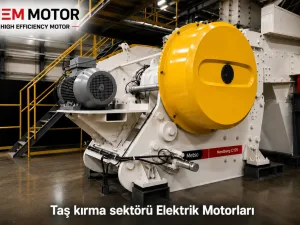 Stone Crushing and Screening Plant Motors