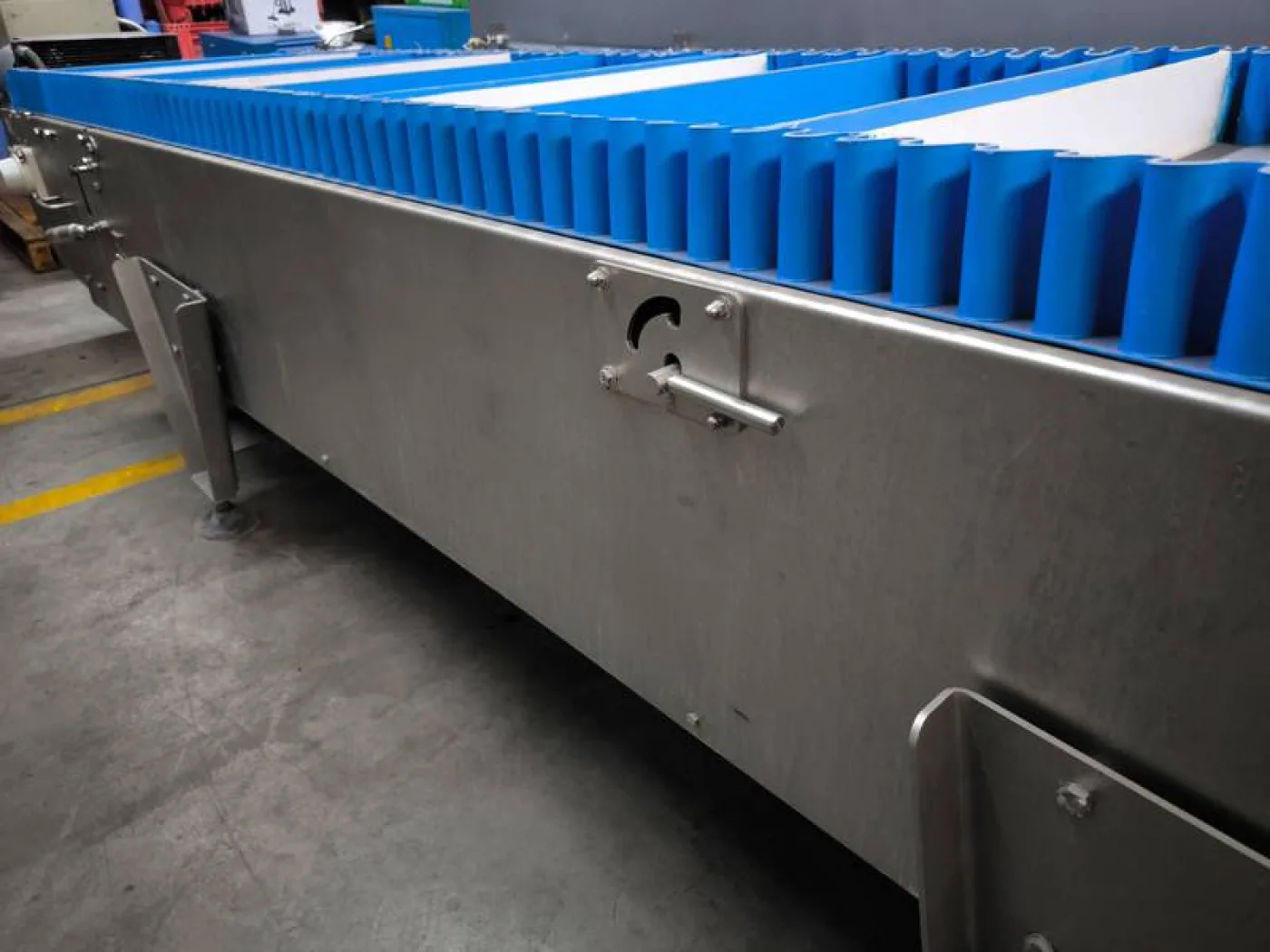 Paunch conveyor - 4