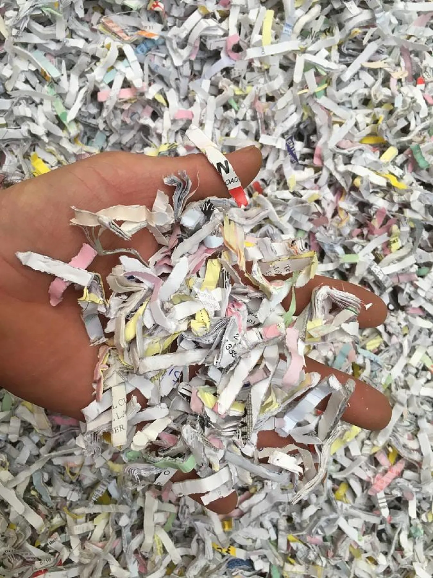 2009 Intimus 14.95 Heavy Duty Shredder - 7