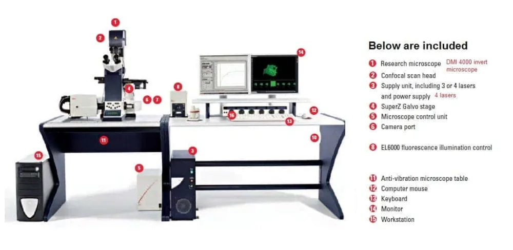 Leica SPE Confocaal Systeem met DMI 4000 B