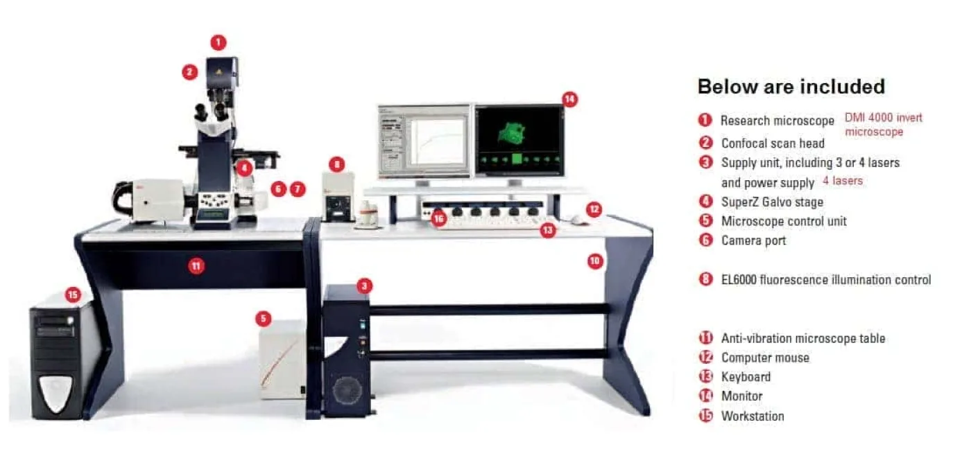 Leica SPE Confocaal Systeem met DMI 4000 B - 1