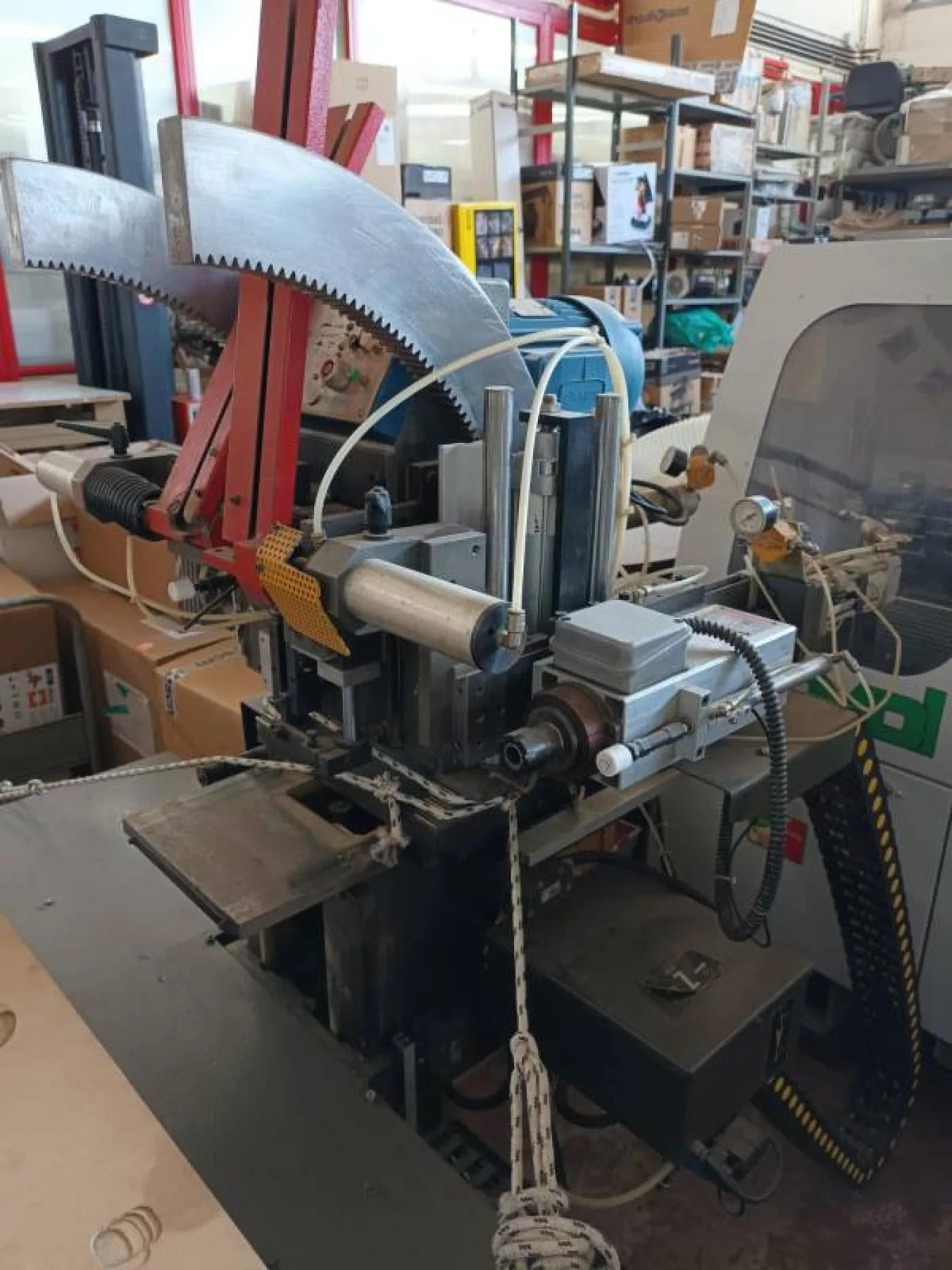 Anubatrice CIPSY AV2 NUMBER ONE - 2