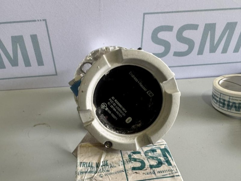 2020 Endress+Hauser Vibrating Level Switch