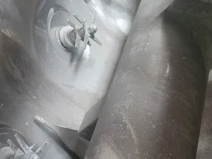Loedige VT-1200 - Paddle dryer
