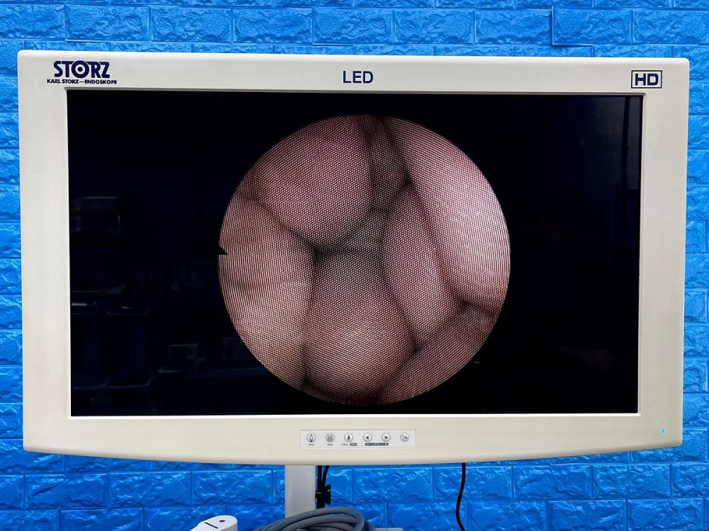 Karl Storz 11272 C1 Cysto-Urethro-Fiberscope