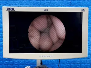 Karl Storz 11272 C1 Cysto-Urethro-Fiberscope
