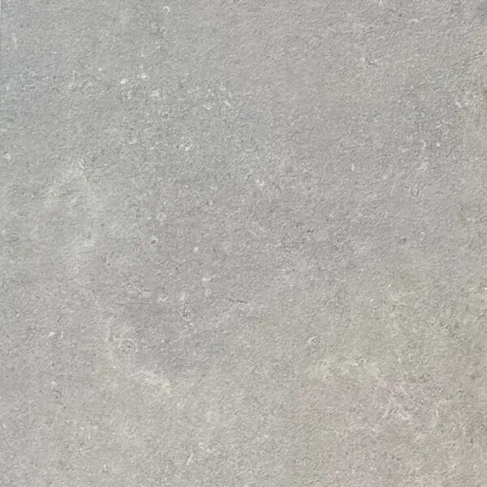 Salinea 20MM Gris