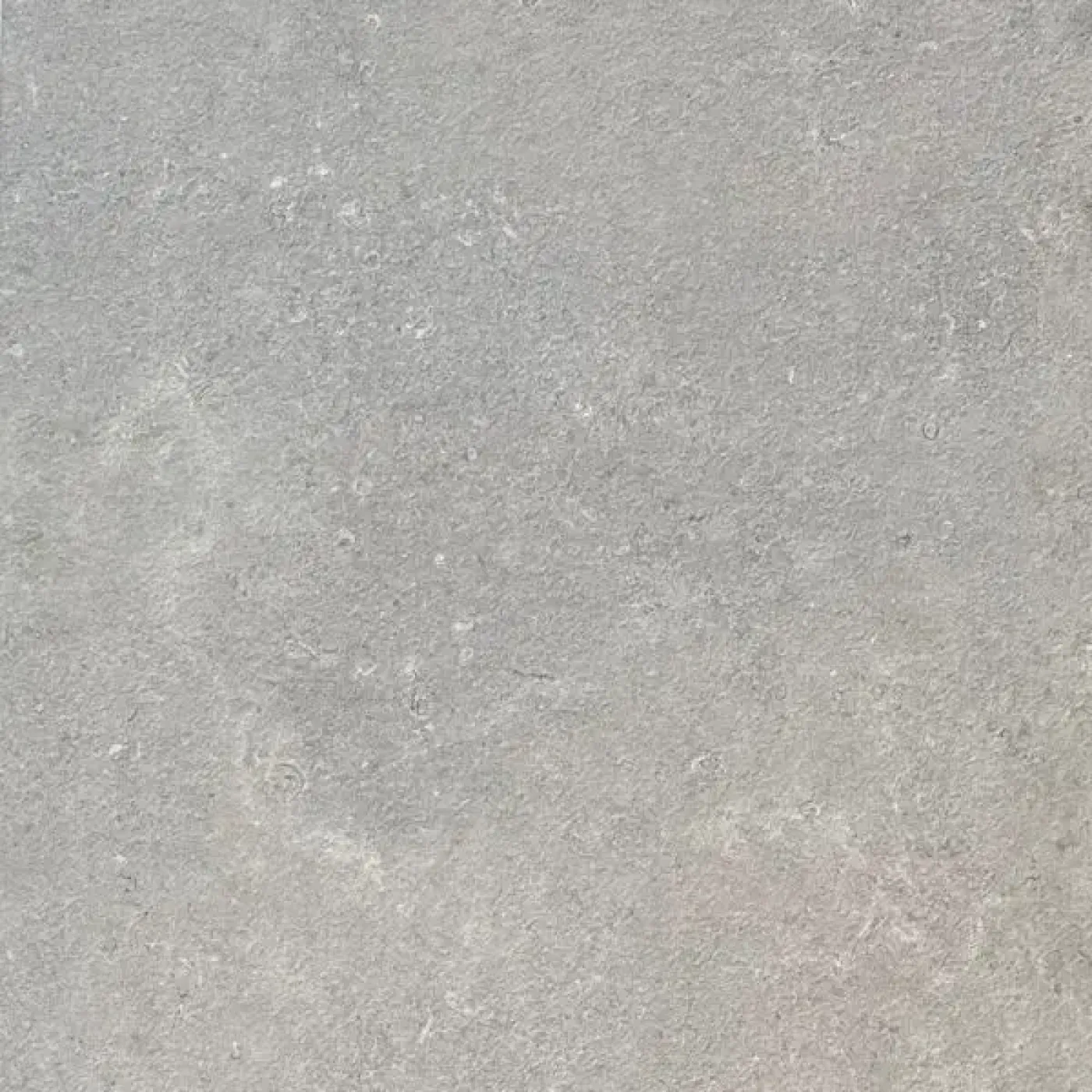Salinea 20MM Gris - 1