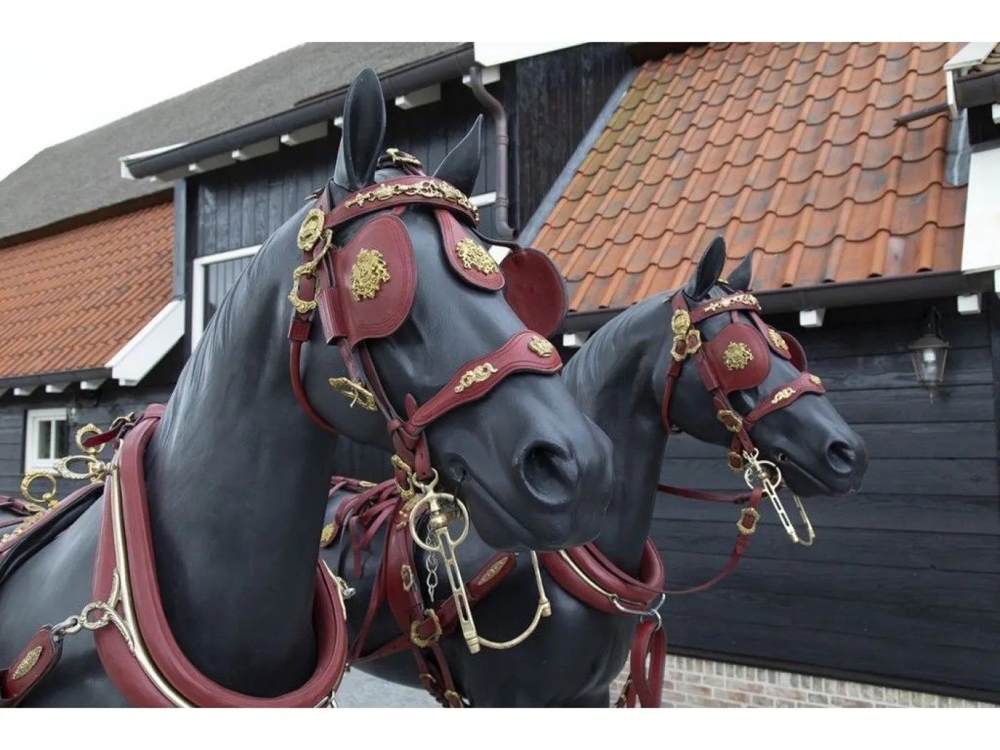 VAN der Wiel Harness Horses - 3